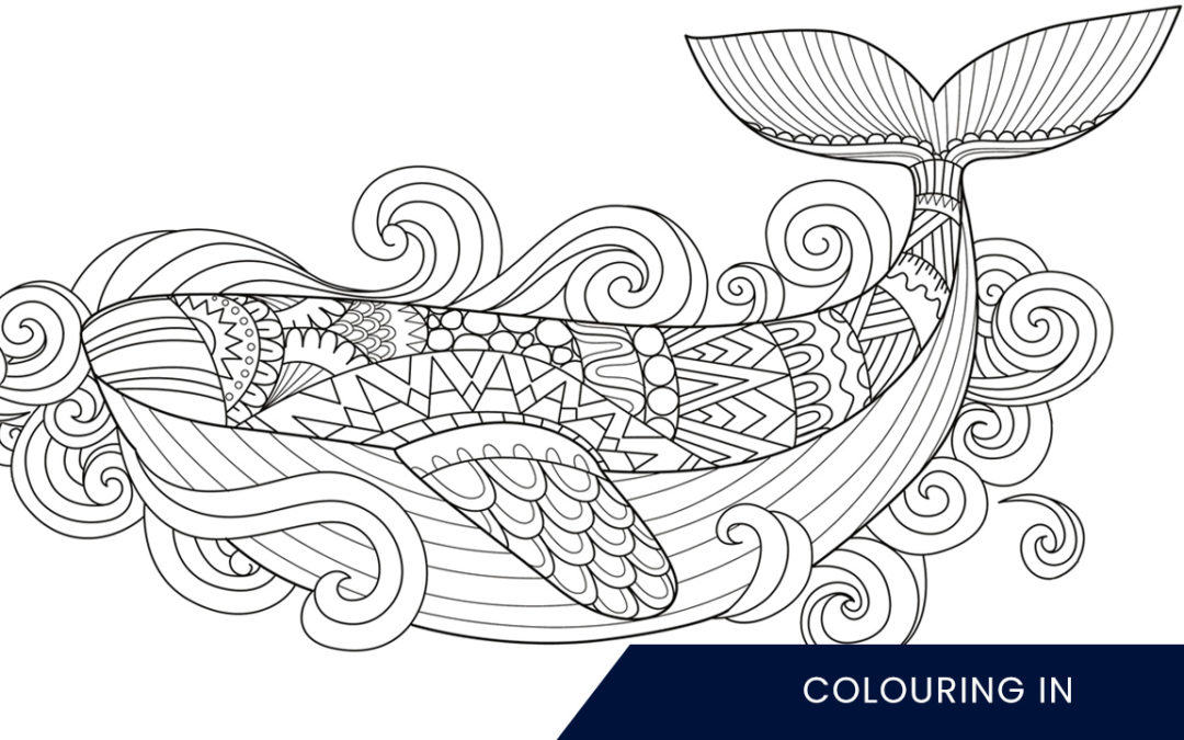 Colouring in Whale