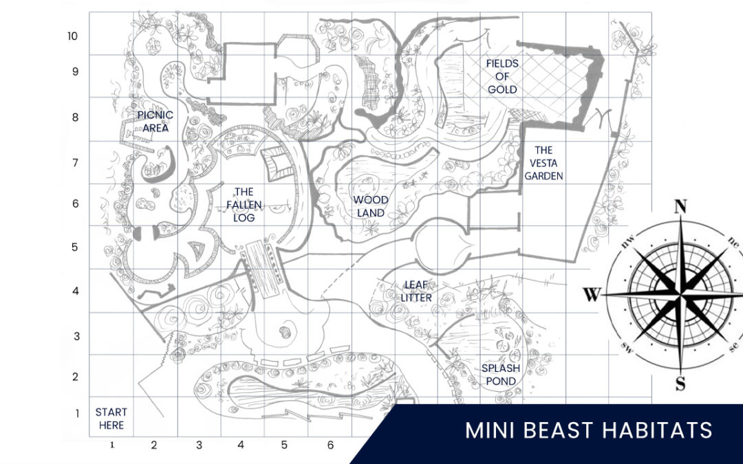 Mini Beast Habitats