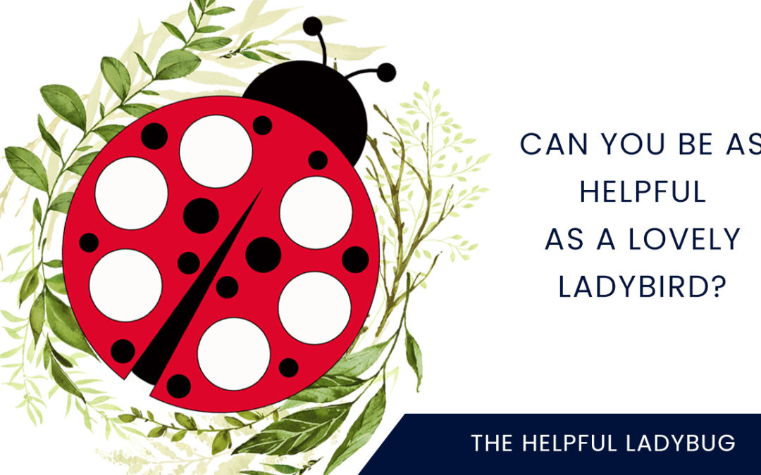 The Helpful Ladybug