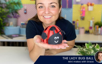 Paperball Ladybird