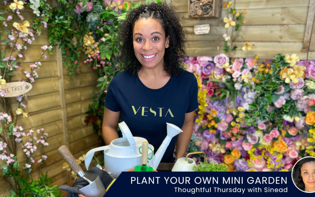 Plant your own Mini Garden – Thoughtful Thursday