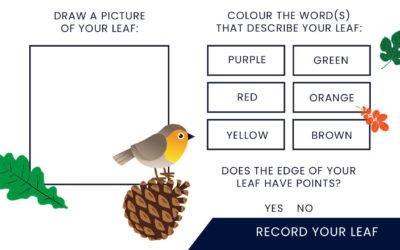 Draw your Leaf